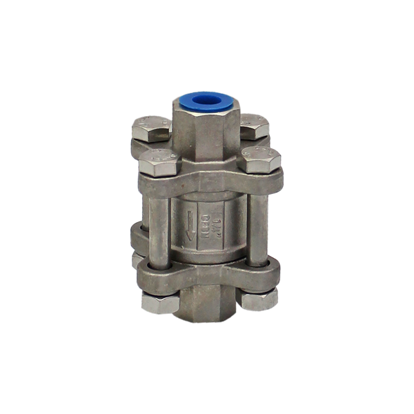 Stainless Steel Spring Check Valves 3Piece BSP Powell Industrial