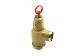 PUMP PRO PRESSURE RELIEF VALVES BRASS - 2IN NPT